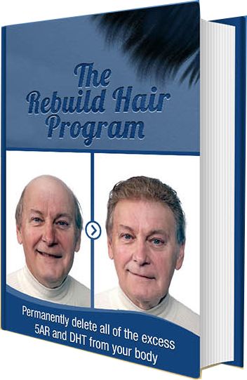 rebuild hair program pdf