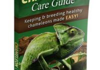 Chameleon Care Guide e-cover